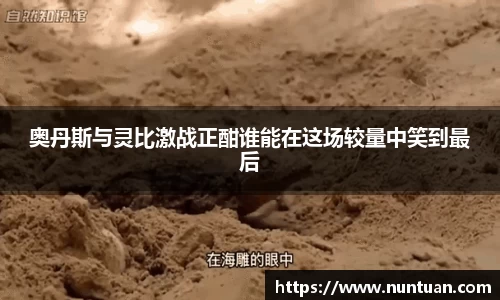 奥丹斯与灵比激战正酣谁能在这场较量中笑到最后